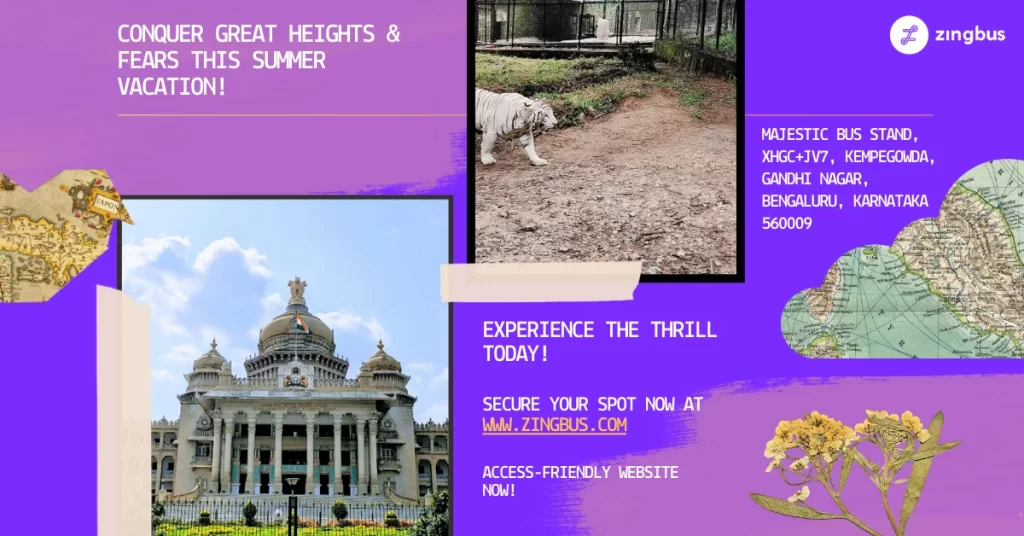 Purple - Pink - Yellow - Black - Design - Places to Visit in Bangalore - India