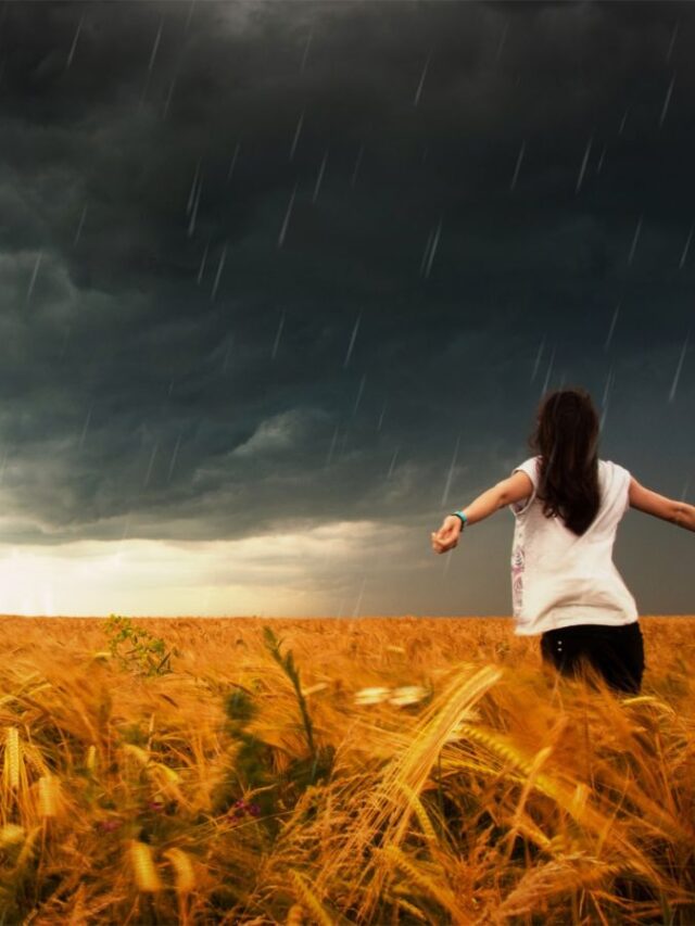 Best Places to visit in Monsoon in India.