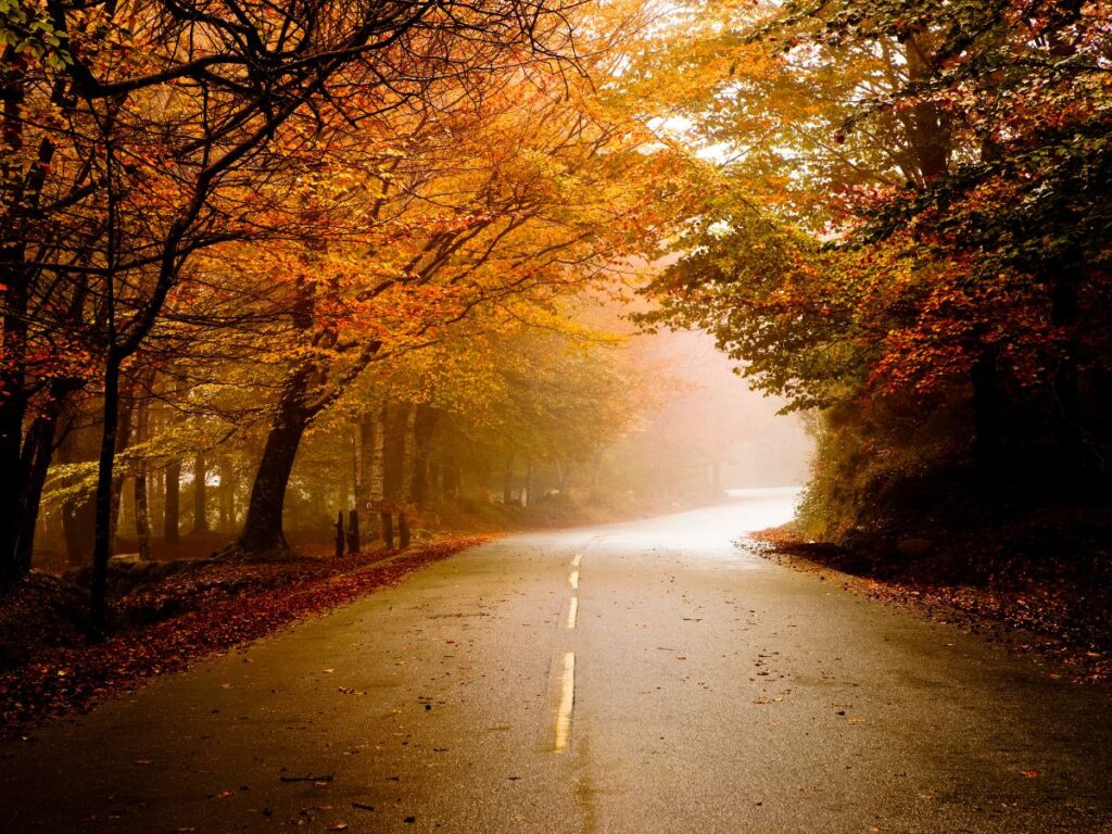 Best places to Visit in February in India