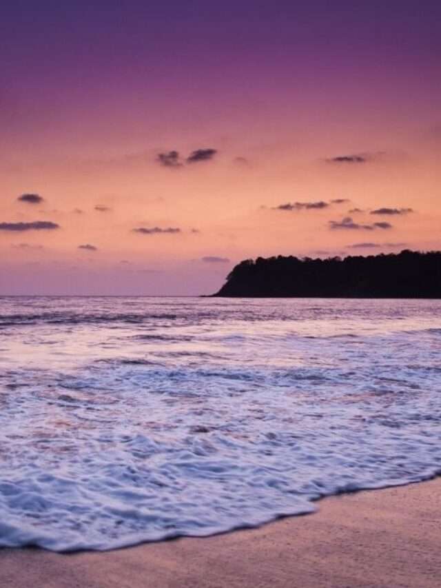 Exploring the Thrill of Water Sports in Goa – things to do in Goa