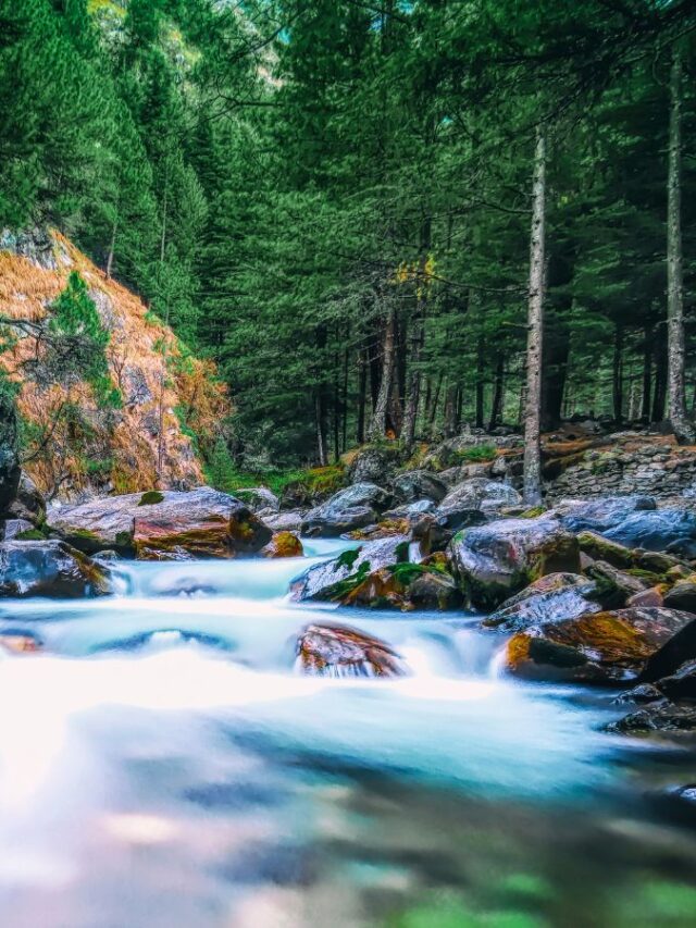 The Great Indian Escape: Offbeat Destinations to Unwind and Relax