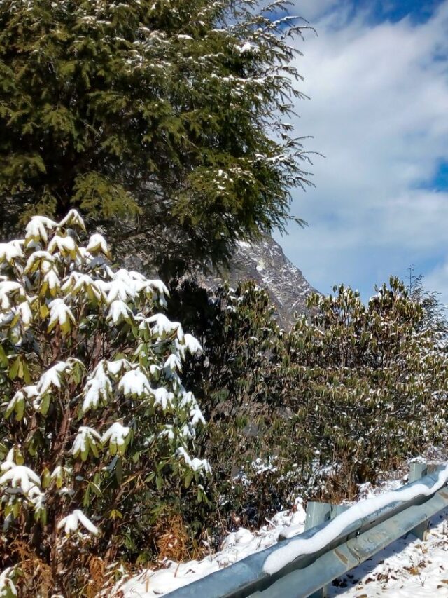 Escape the Delhi on Weekend break: 7 Hill Stations  within 300kms