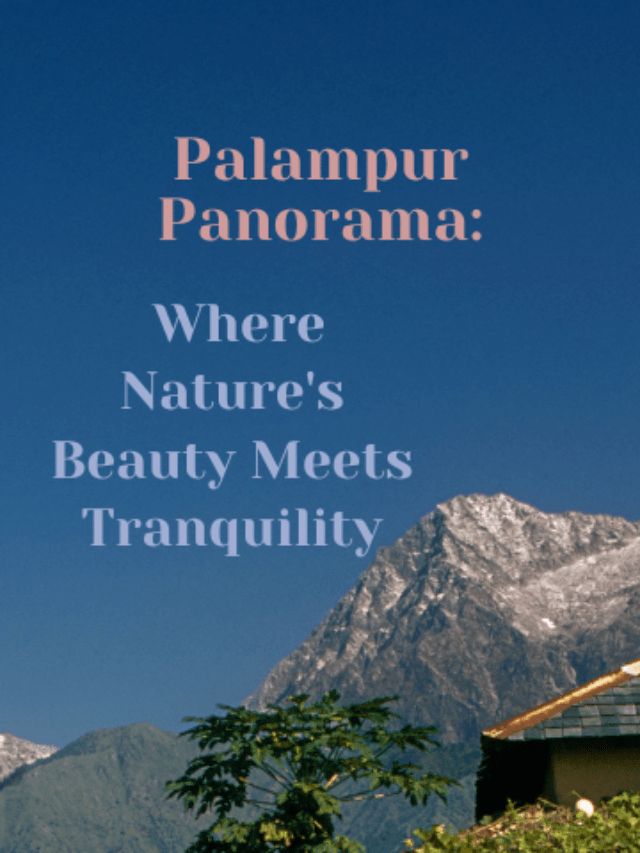 Palampur Panorama: Where Nature’s Beauty Meets Tranquility