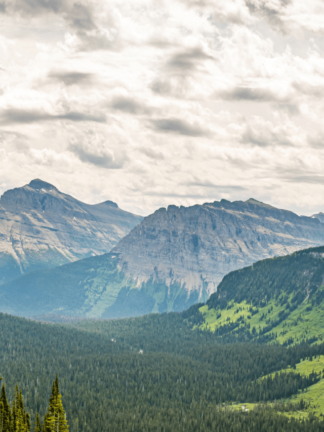 National Parks In Madhya Pradesh