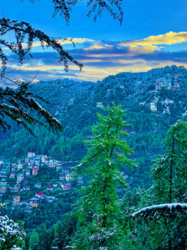 Journey To Shimla