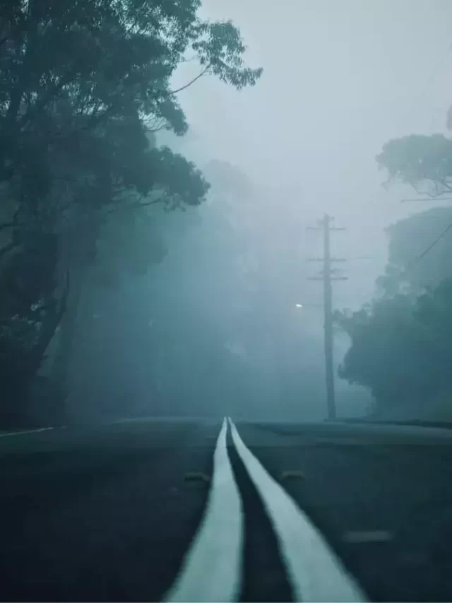 Delhi After Dark: A Night Owl’s Guide to Vibrant Exploration