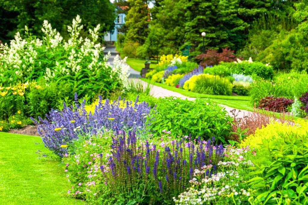 Botanical Garden Ooty