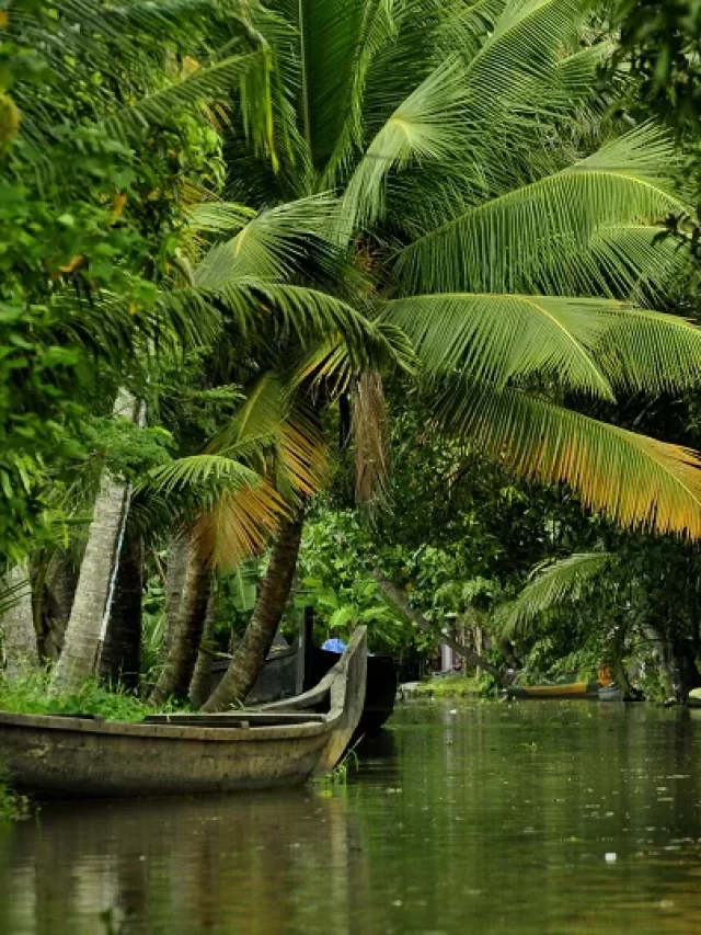 Top Destinations to Explore in South India in February