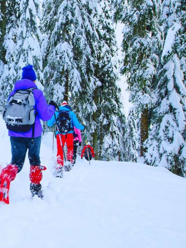 6 Toughest Treks in India: Conquering the Crown