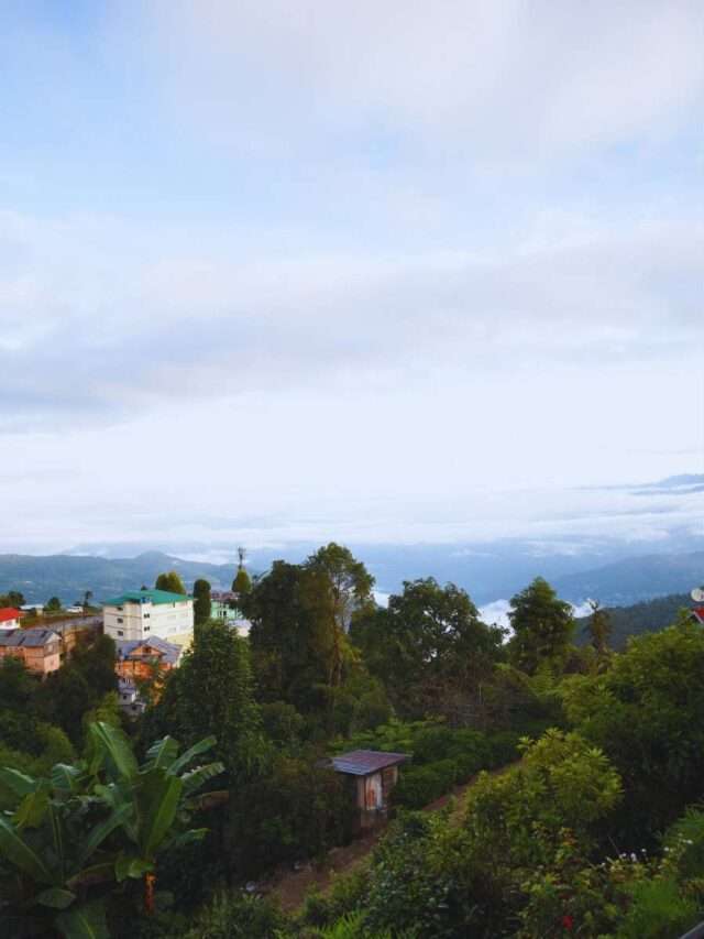 Dzukou Valley Route: A Paradise in Nagaland