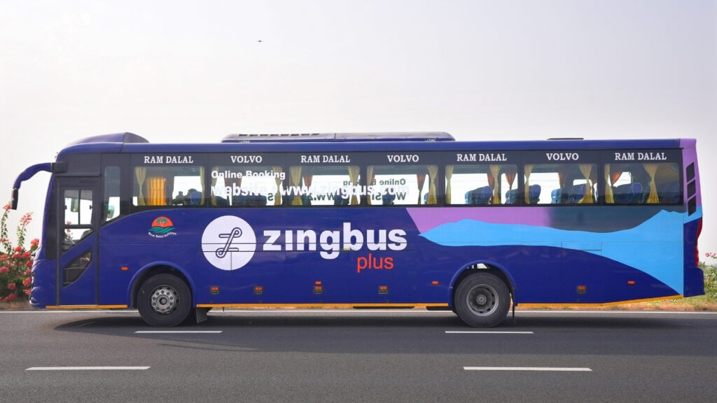 zingbus