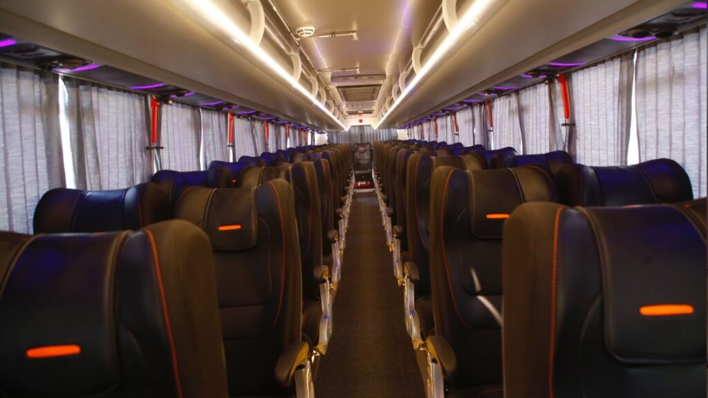 zingbus seating 
