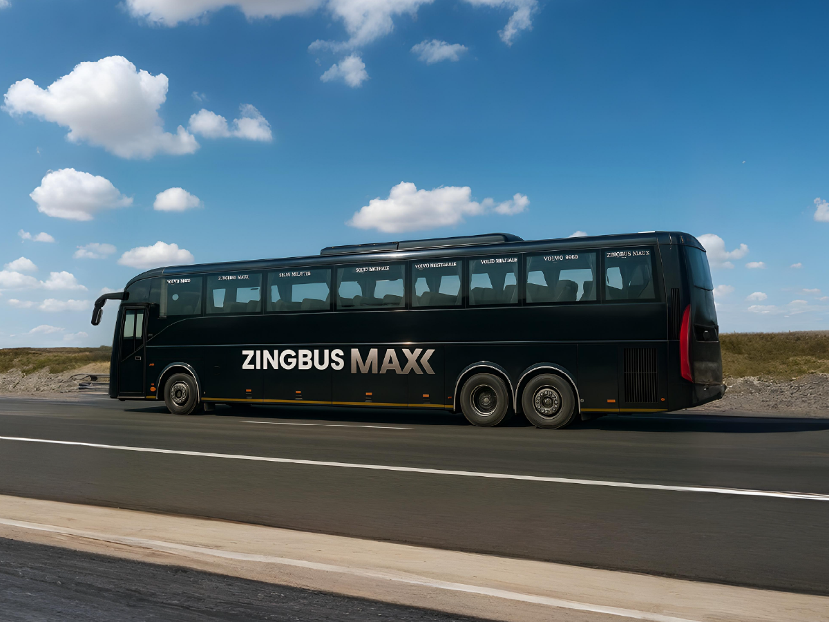 zingbus maxx