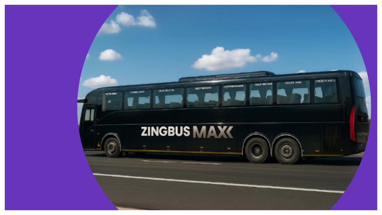 zingbus maxx