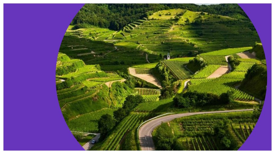 bangalore to coorg bus