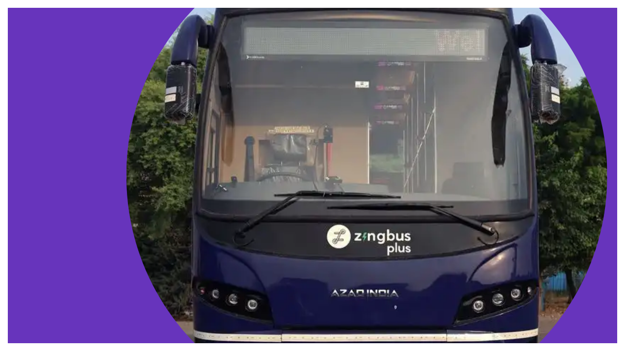 zingbus vs RedBus