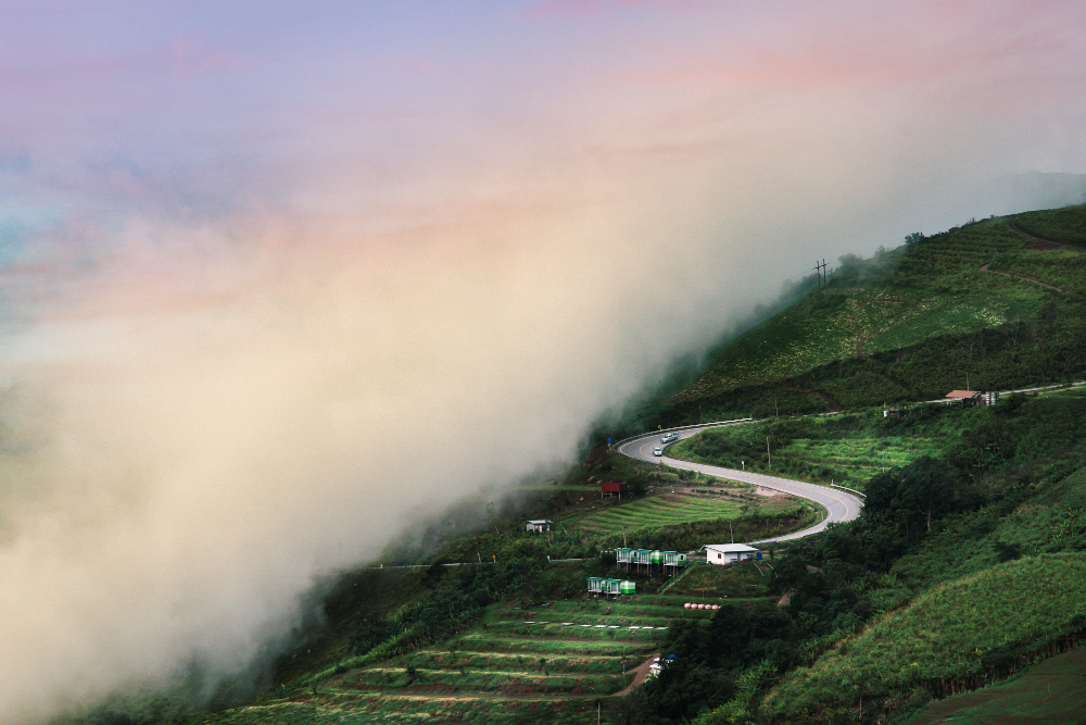 Misty coffee plantation road winding through the Western Ghats, one of the best places to visit near Bangalore under 300 km for a weekend escape