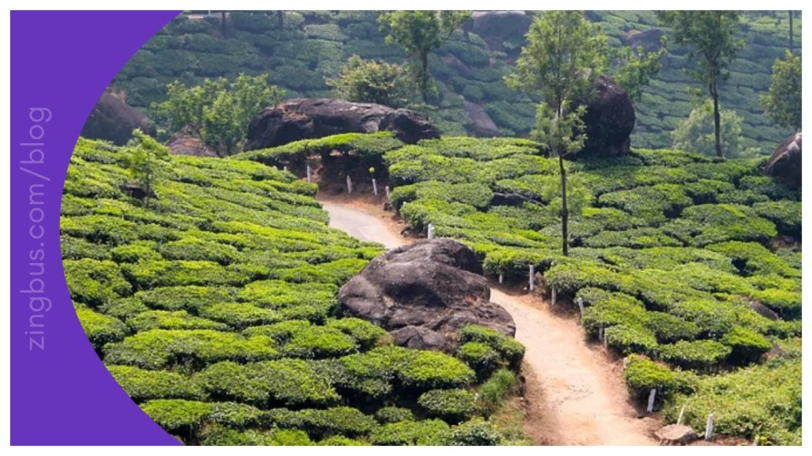 Scenic Western Ghats landscape viewed from a bus window during a monsoon getaway near Bangalore with lush green hills and mist