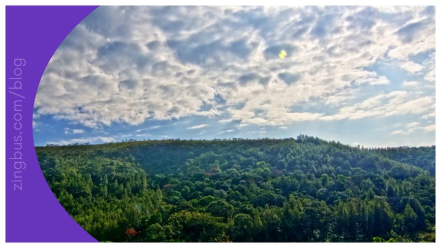 Scenic view of Ananthagiri Hills and forest trails near Hyderabad, perfect for places to visit near Hyderabad under 100 km day trips.