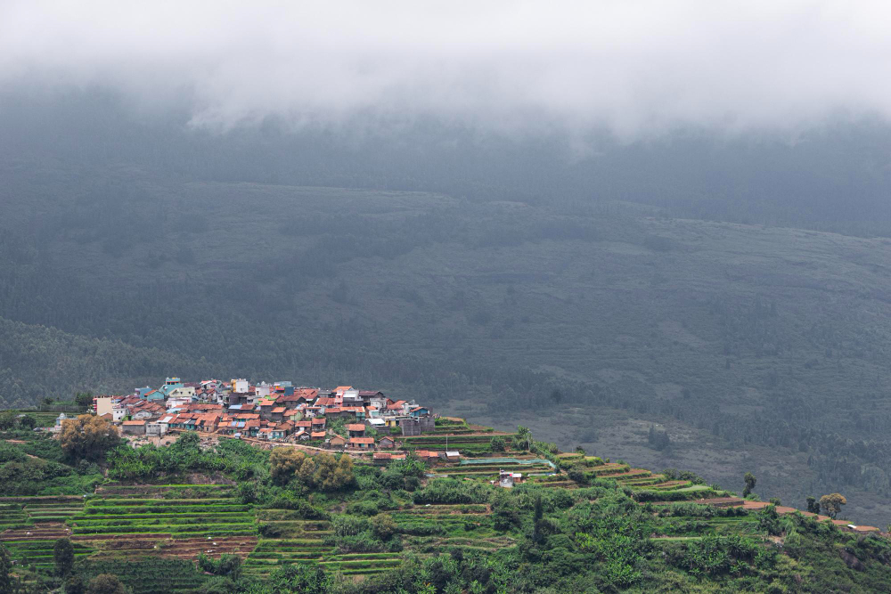 Places to visit in kodaikanal including Kodaikanal Lake, Coaker’s Walk, Pillar Rocks, Pine Forest, Berijam Lake, and Poombarai