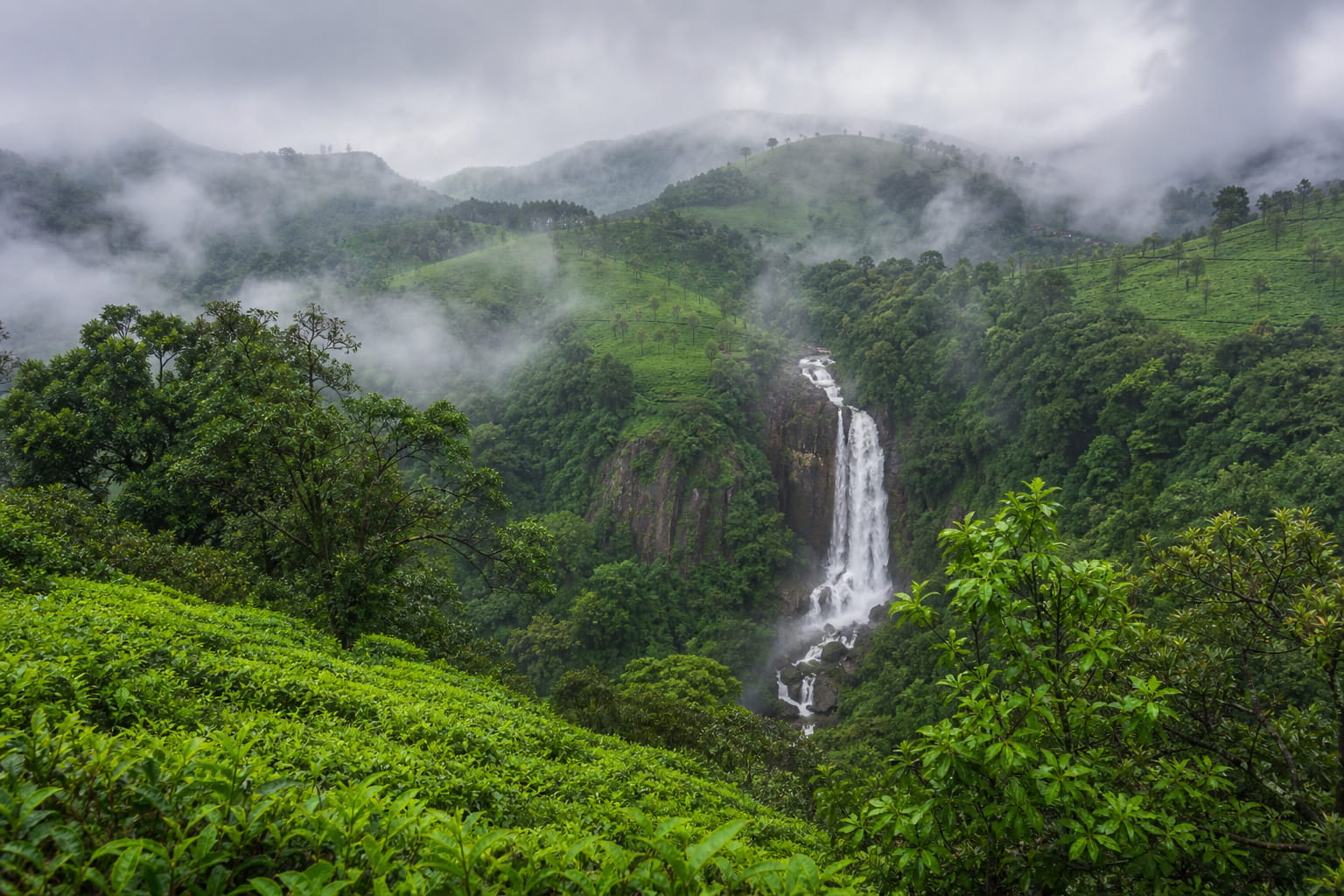 Green misty hills and waterfalls in Coorg Karnataka during South India monsoon season