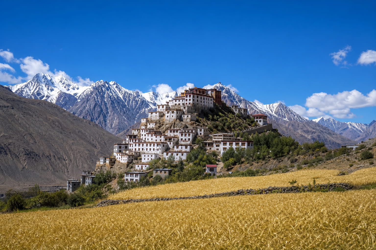 Key Monastery in Spiti Valley under clear September sky with snow peaks and barley fields in the foreground