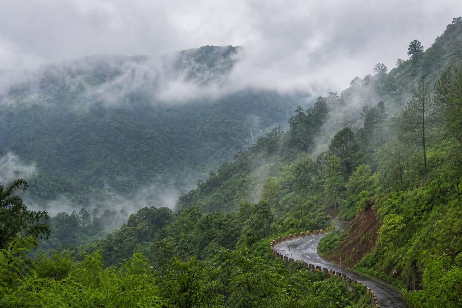 Misty green forest valley during monsoon season at an offbeat hill station in India