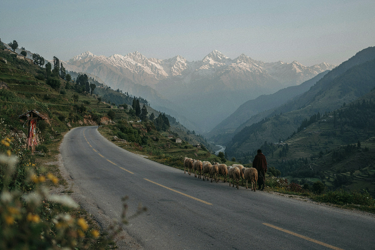 The Road from Jammy to Srinagar